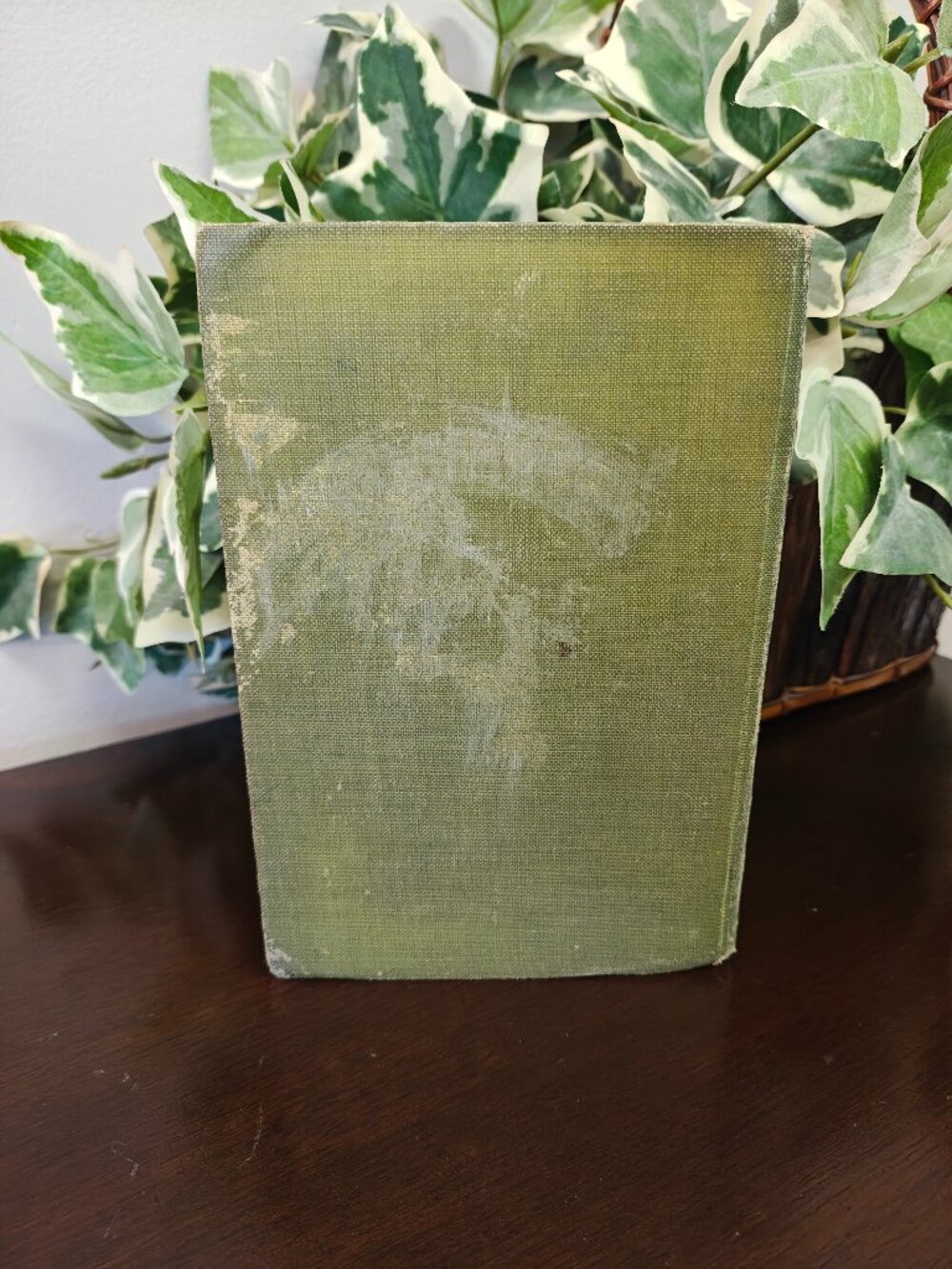 Die Humanisten Isolde Kurz 1910 Siepmann’s German Texts Vintage Hardcover - Picture 4 of 6